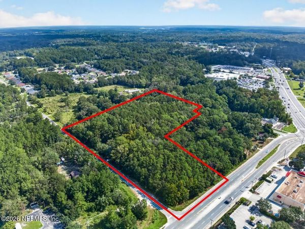 2193 PINE TREE Lane, Middleburg, FL 32068