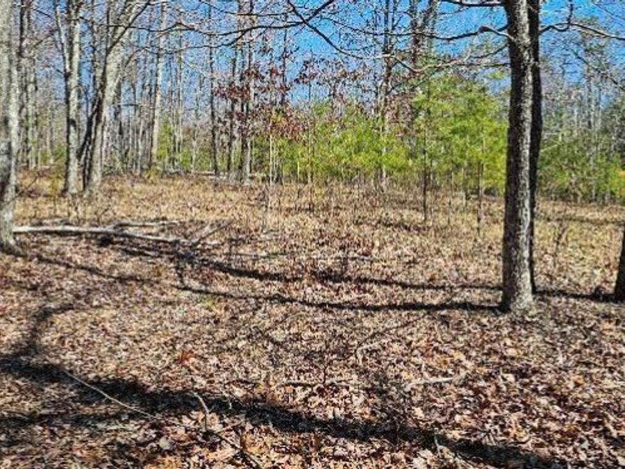 Property Image 4