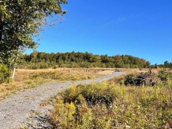0 FOUNTAIN ROAD , SNOW SHOE, PA 16874