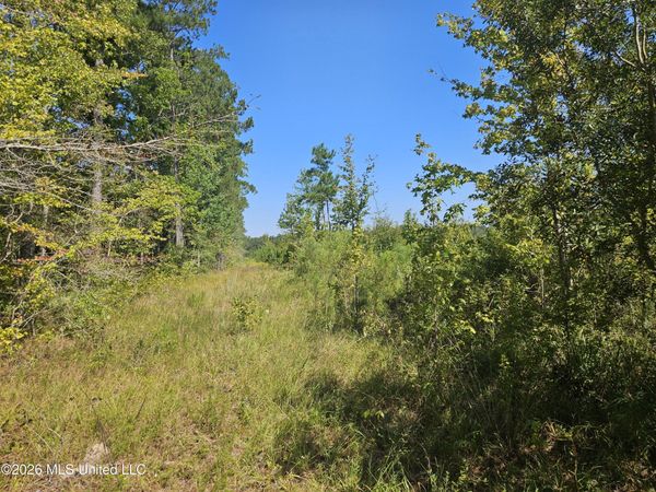 River Bend Road, Columbia, MS 39429