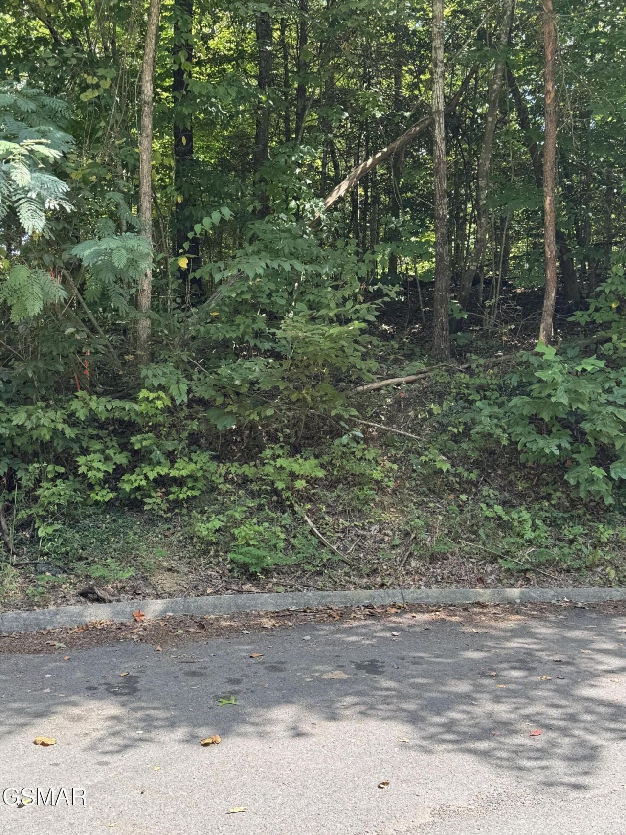 0 Sb Ogle Lane, Lot #9, Pigeon Forge, TN 37876 Main Photo