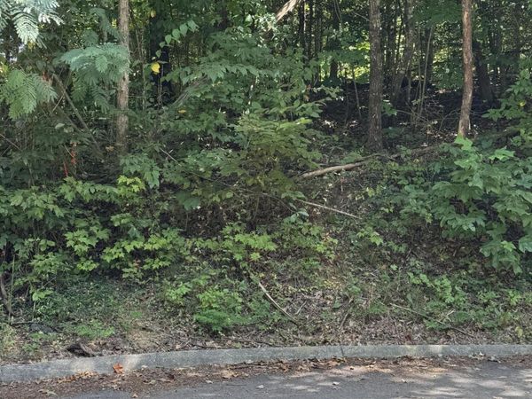 0 SB Ogle Lane , Unit 9, Pigeon Forge, TN 37876