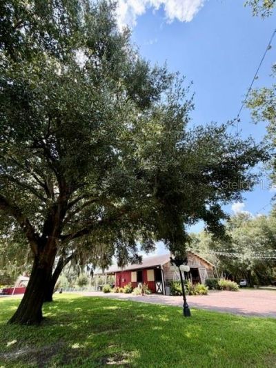 280 Campbell Ranch Run, Geneva, FL 32732 Photo