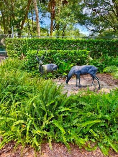 280 Campbell Ranch Run, Geneva, FL 32732 Photo