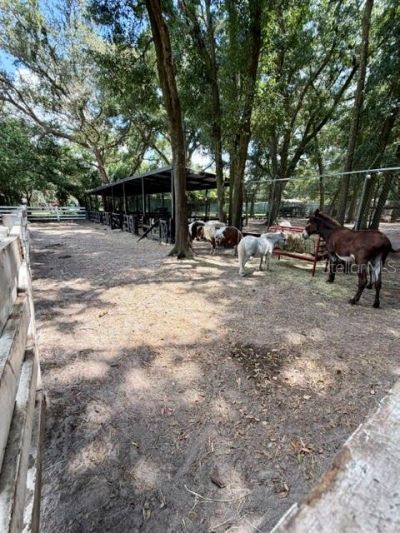 280 Campbell Ranch Run, Geneva, FL 32732 Photo