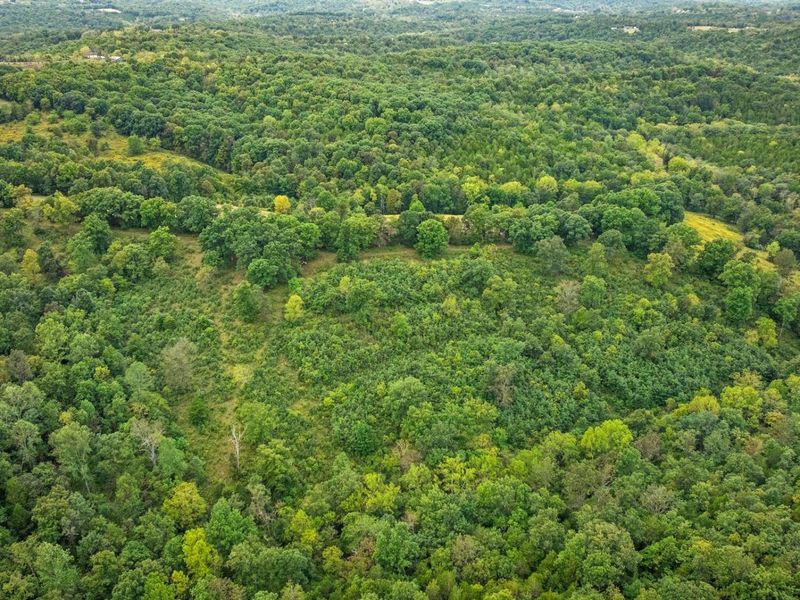 0 New Zion Road, Foster, KY 41043 Photo 14