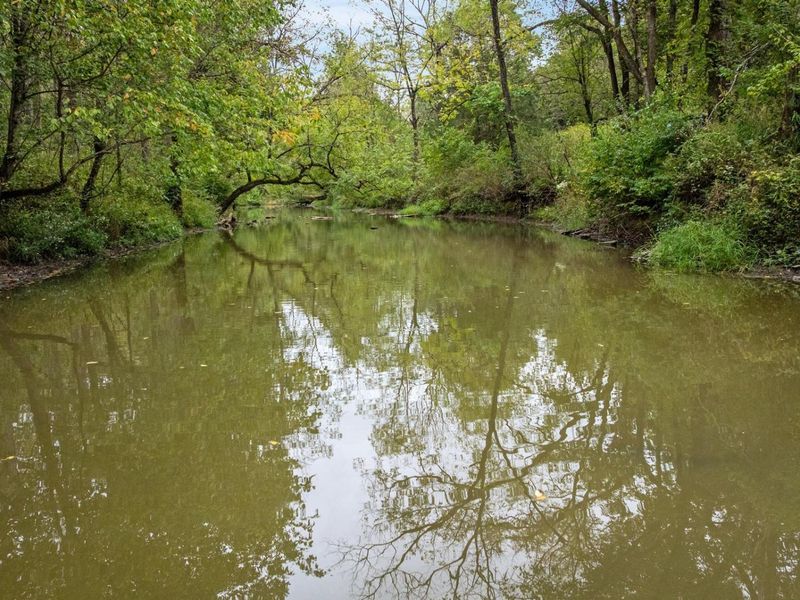 0 New Zion Road, Foster, KY 41043 Photo 17