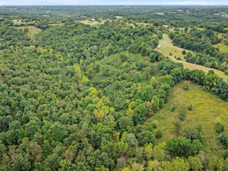 0 New Zion Road, Foster, KY 41043 Photo 19