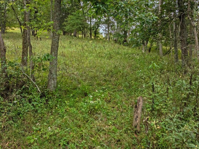 0 New Zion Road, Foster, KY 41043 Photo 2