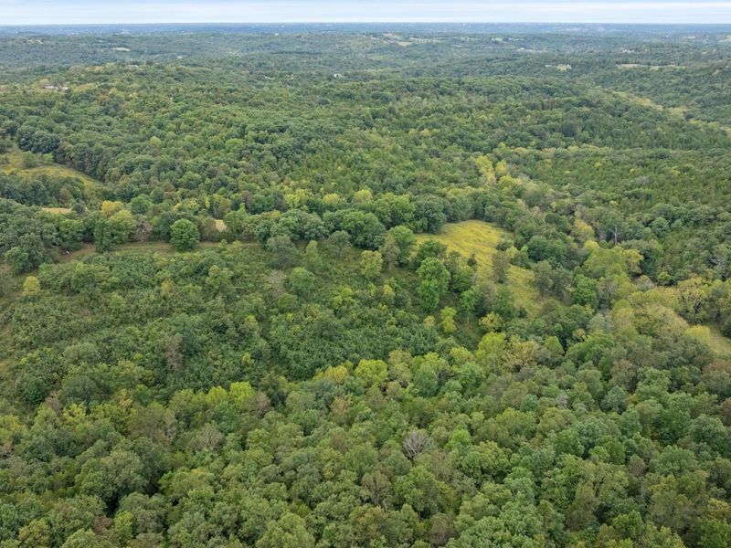 0 New Zion Road, Foster, KY 41043 Photo 23