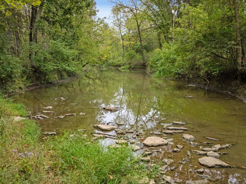 0 New Zion Road, Foster, KY 41043 Photo 5