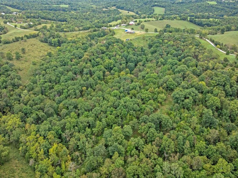0 New Zion Road, Foster, KY 41043 Photo 8
