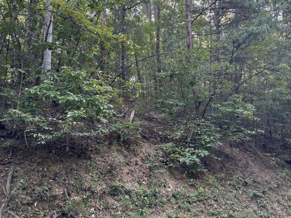 Progess Hill Drive Blvd, Pigeon Forge, TN 37863
