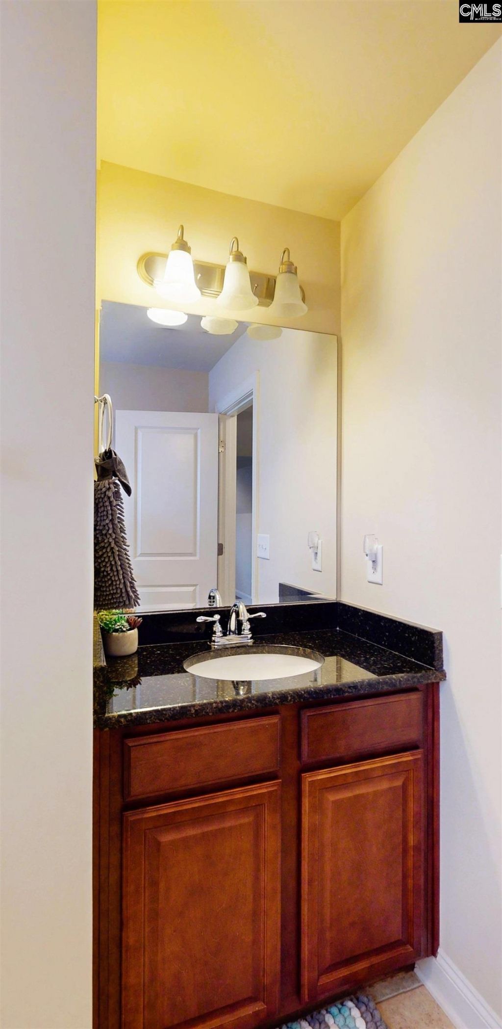 211 Bronze Drive Photo 25