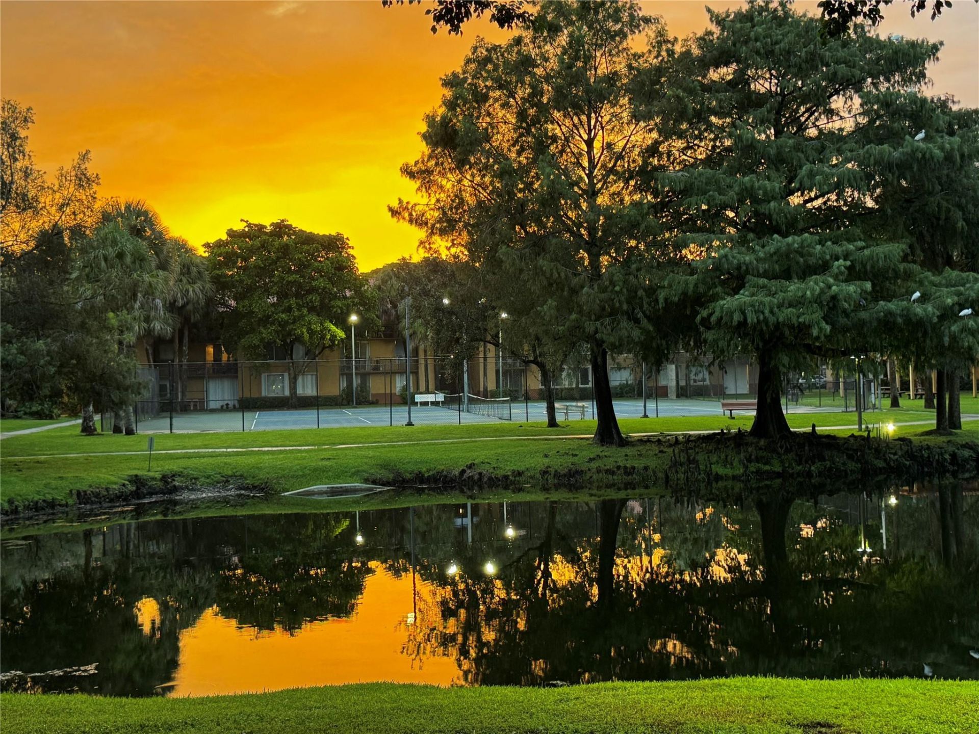 10717 Cleary Boulevard, Unit 211, Plantation, FL 33324 Photo
