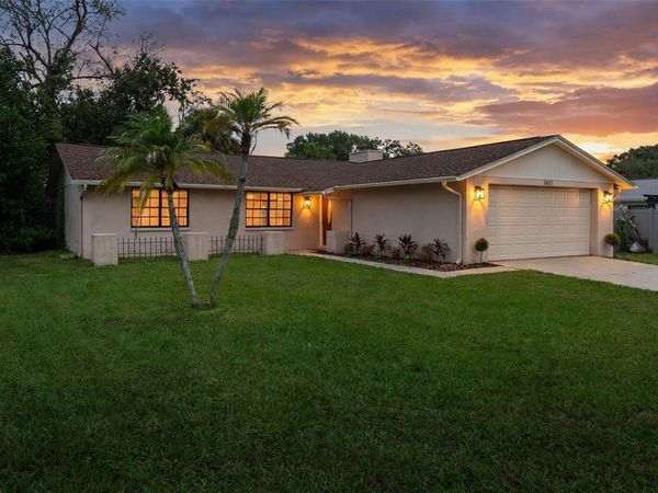 1417 FOGGY RIDGE PARKWAY , LUTZ, FL 33559