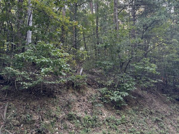 Progress Hill , Pigeon Forge, TN 37863