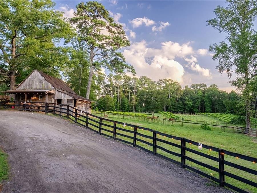 Property Image 113