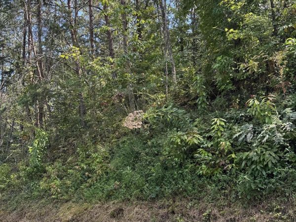 S. B. Ogle , Sevierville, TN 37876