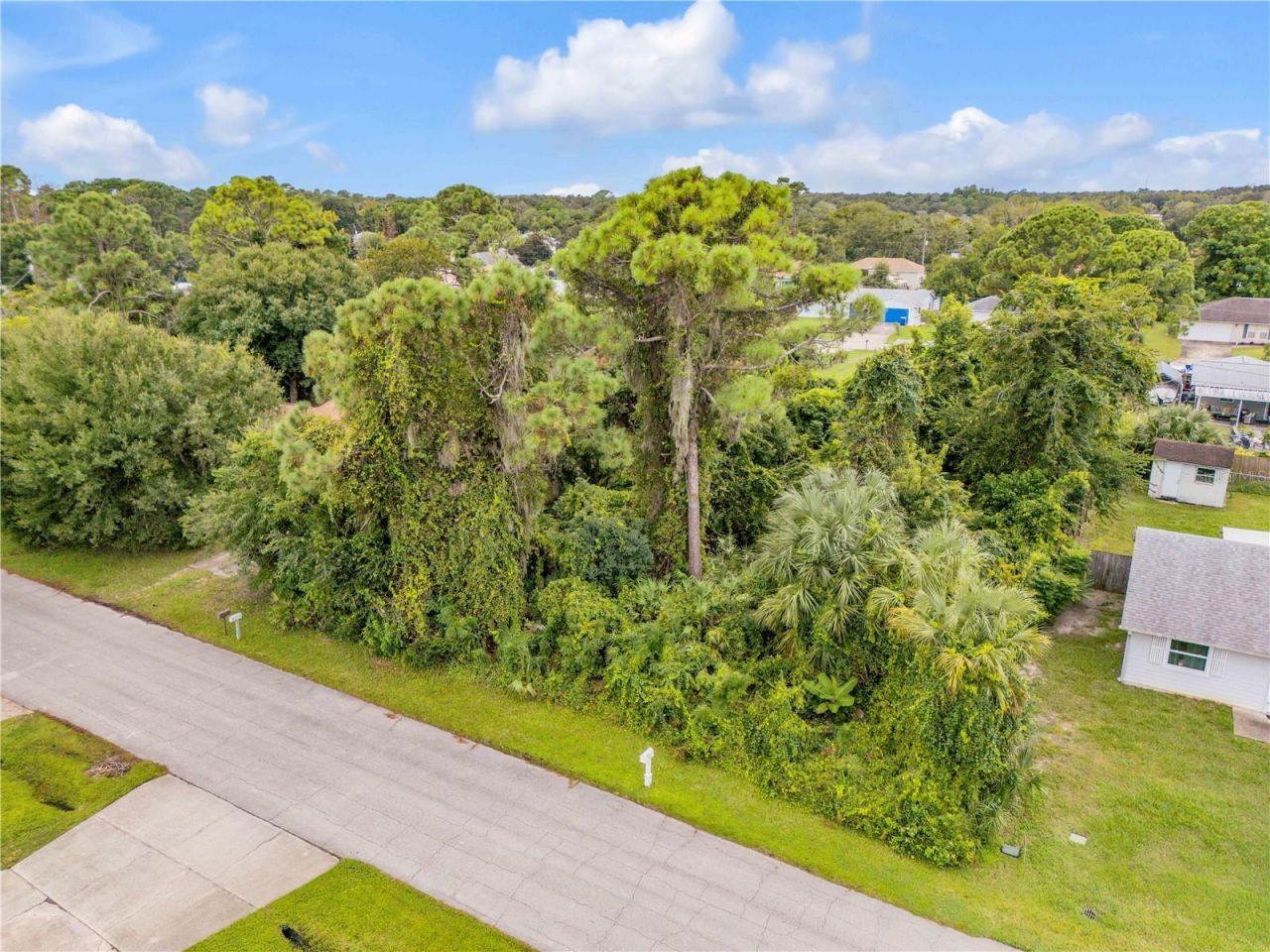 Umbrella Tree Drive, Edgewater, FL 32132 Photo
