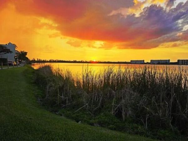 106 Lake Emerald Drive, Unit Apt 114, Oakland Park, FL 33309