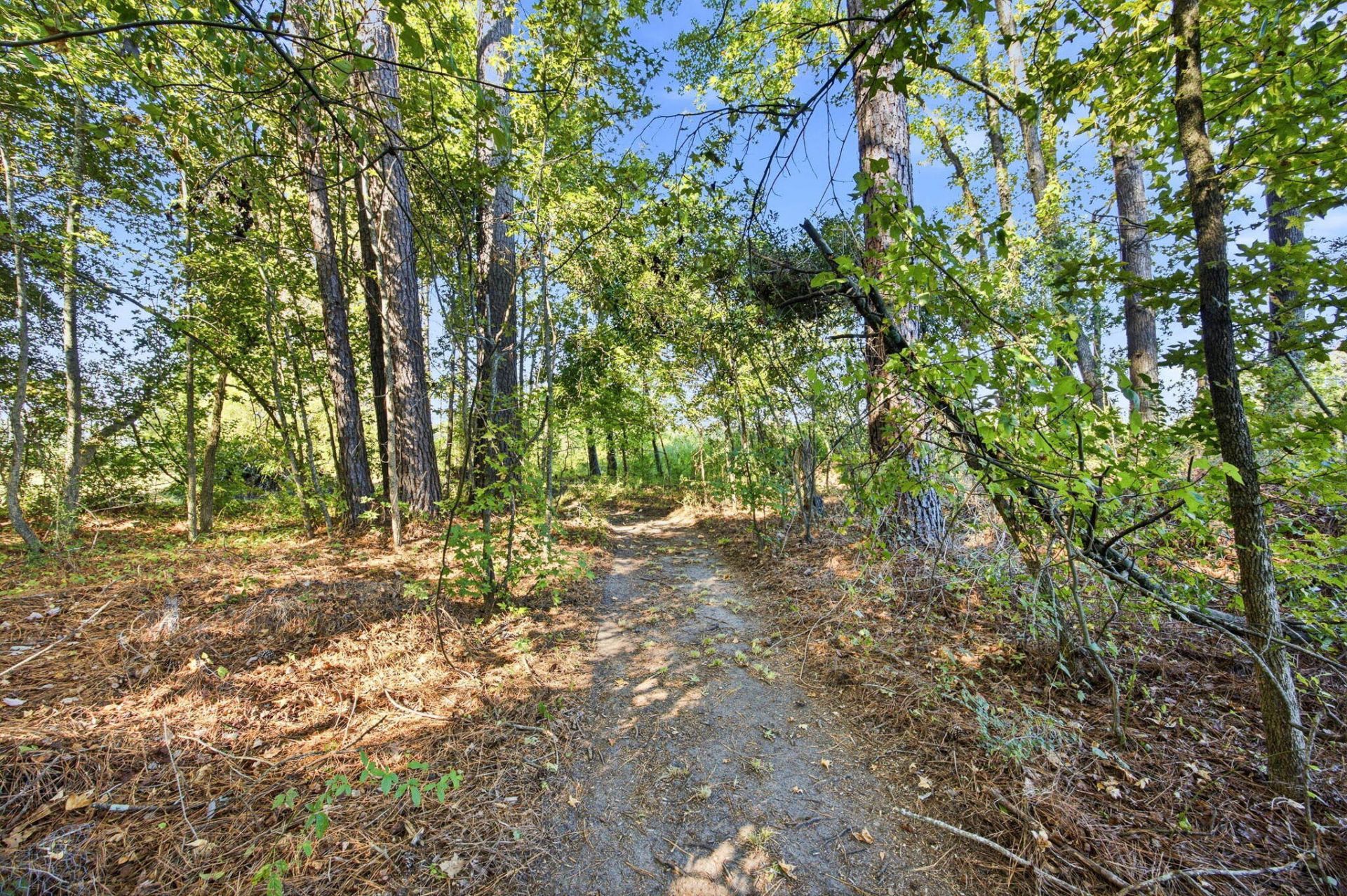 270 Salisberry Road Photo 51