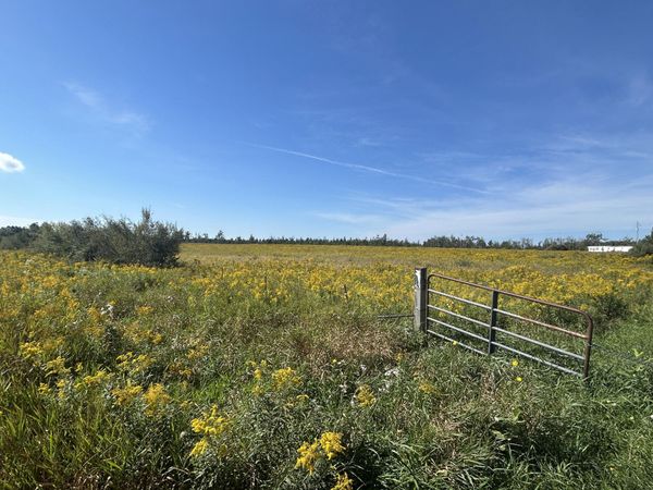 V/L Coville Road, Lincoln, MI 48742
