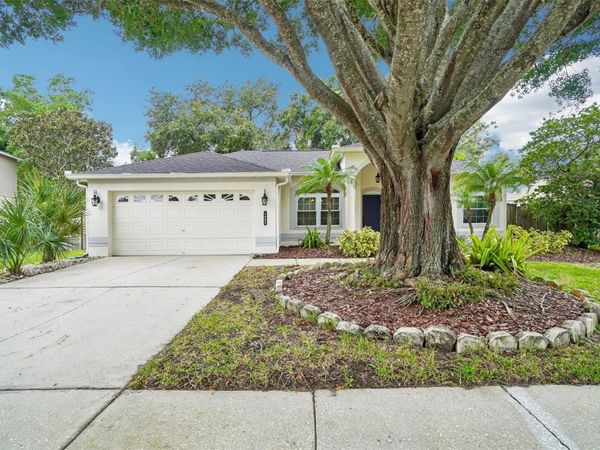 1605 SAND HOLLOW LANE , VALRICO, FL 33594