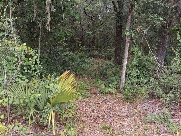 5210 CO RD 214, Keystone Heights, FL 32656