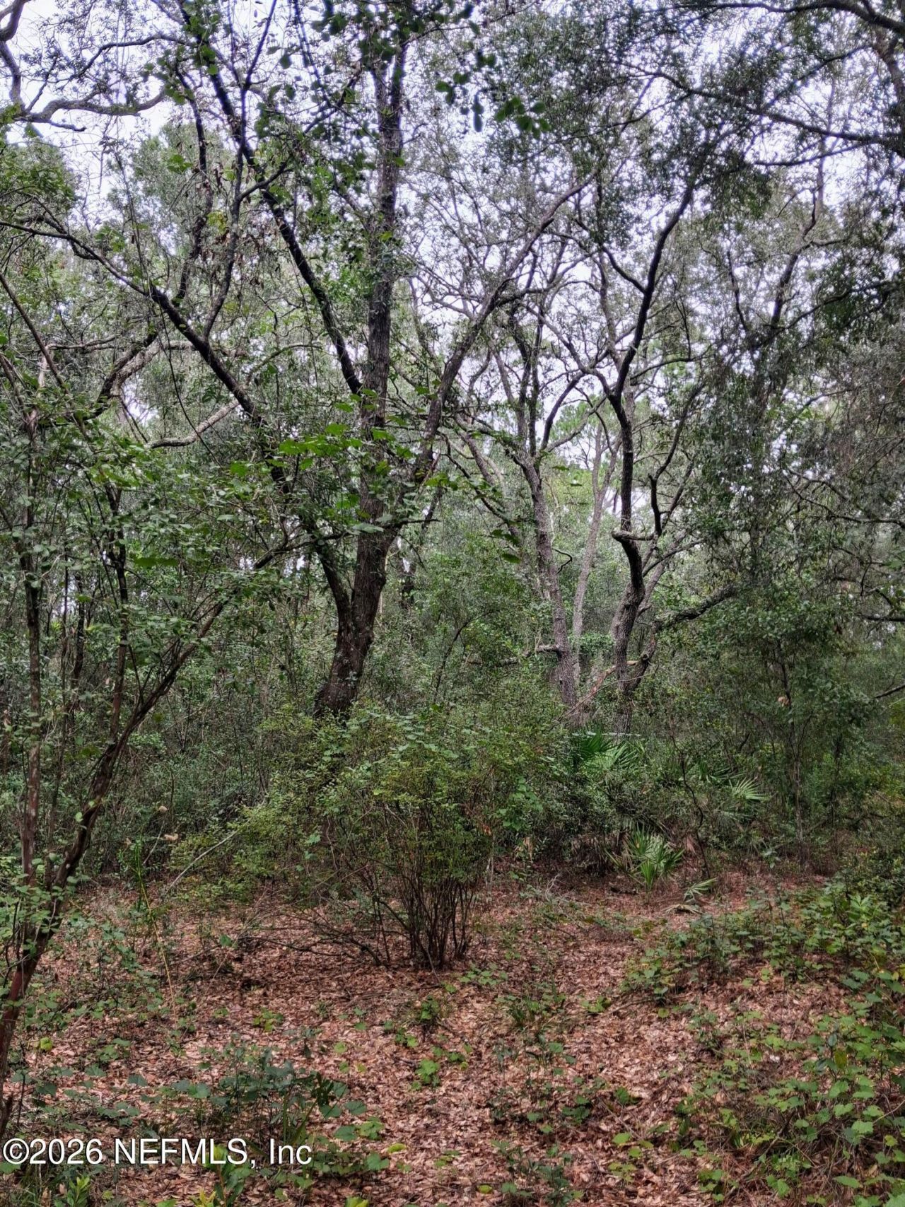 5210 Co Rd 214, Keystone Heights, FL 32656 Photo