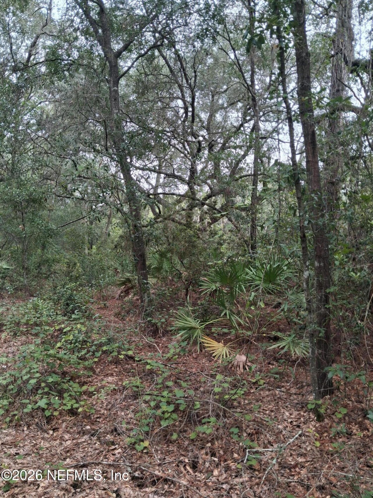 5210 Co Rd 214, Keystone Heights, FL 32656 Photo