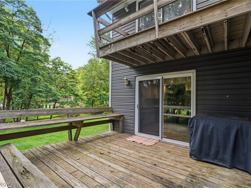 48051 Allegheny Trail, Negley, OH 44441 Photo 37