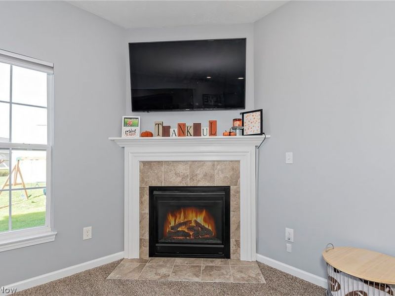 10412 Redbud Drive, Aurora, OH 44202 Photo 8