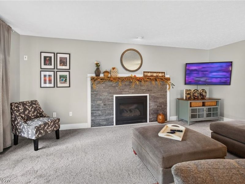 1008 Coopers Run, Amherst, OH 44001 Photo 19