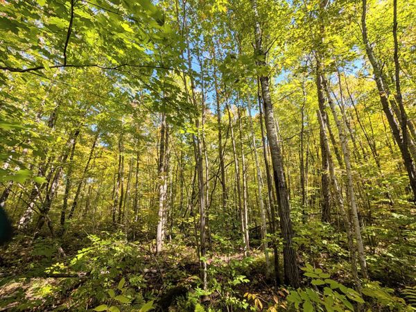 TBD Hwy B, Hunter Twp, WI 54843