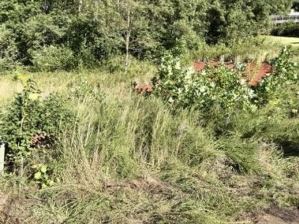 0 Valley RD , Hardy, VA 24101