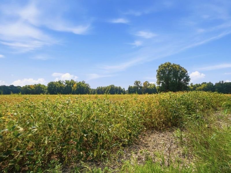 0 Sodom Road, Hamersville, OH 45130 Photo 10