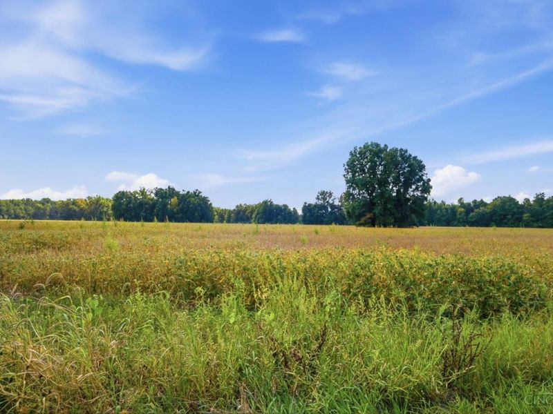 0 Sodom Road, Hamersville, OH 45130 Photo 11
