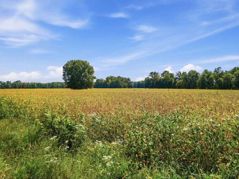 0 Sodom Road, Hamersville, OH 45130 Photo 13