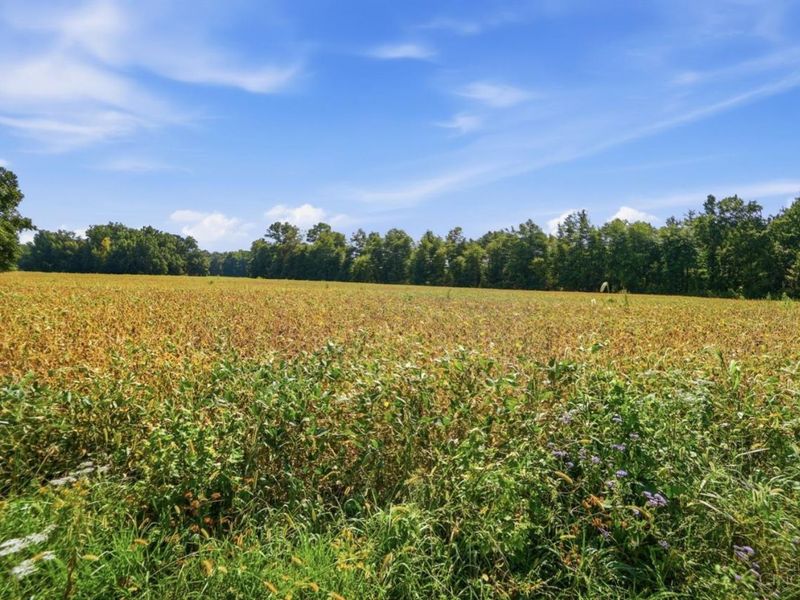 0 Sodom Road, Hamersville, OH 45130 Photo 14