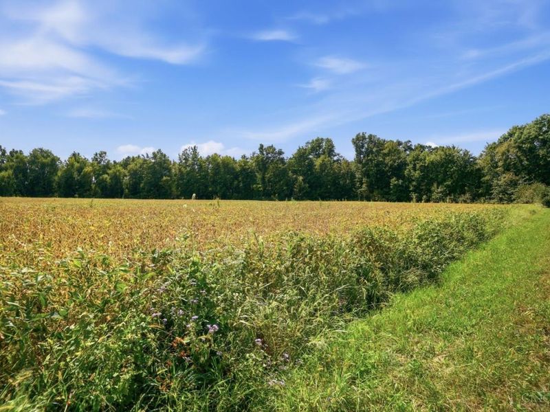 0 Sodom Road, Hamersville, OH 45130 Photo 15