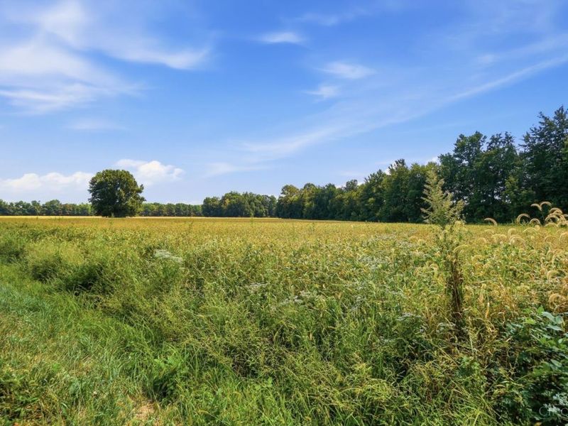 0 Sodom Road, Hamersville, OH 45130 Photo 16