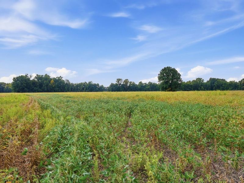 0 Sodom Road, Hamersville, OH 45130 Photo 19