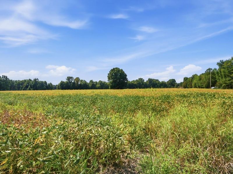 0 Sodom Road, Hamersville, OH 45130 Photo 6
