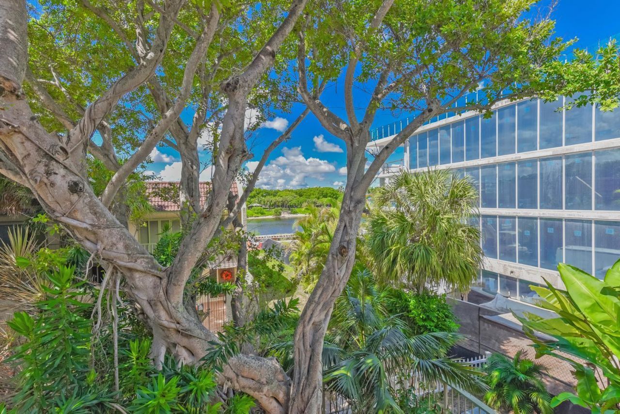 1172 Hillsboro Mile, Unit 3-3, Hillsboro Beach, FL 33062 Photo