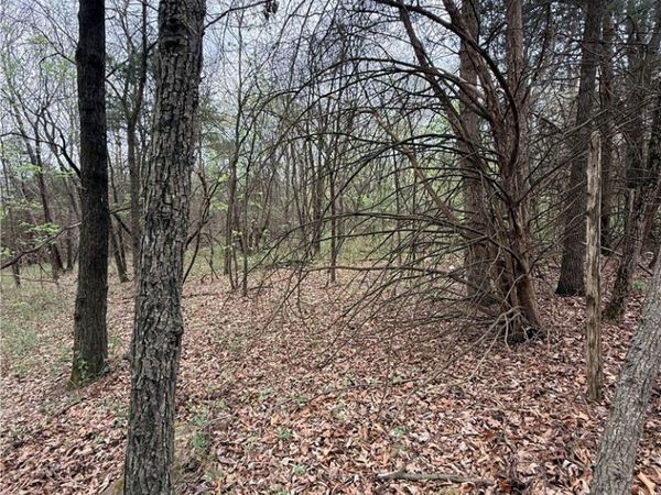 Lot 4 CR-906 , Green Forest, AR 72638