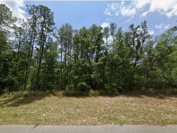 Tbd 128TH Loop, Ocala, FL 34473