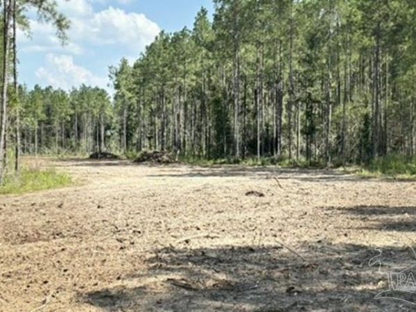 Lot 89 Posie Forest Rd, Milton, FL 32570