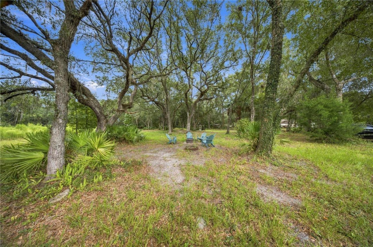 14468 NE 150th Avenue, Fort Mc Coy, FL 32134 Photo