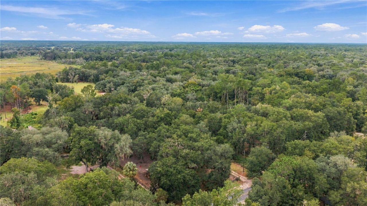 14468 NE 150th Avenue, Fort Mc Coy, FL 32134 Photo